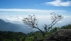 Coimbatore - Ooty - Kodaikanal - Madurai - Coimbatore